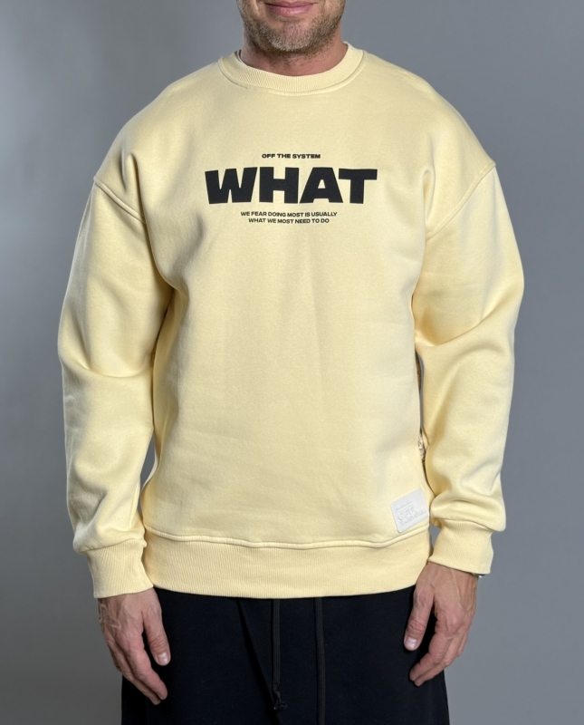 Мъжка блуза WHAT