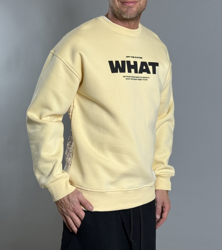 Мъжка блуза WHAT