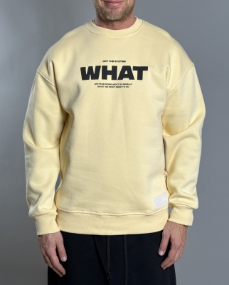 Мъжка блуза WHAT